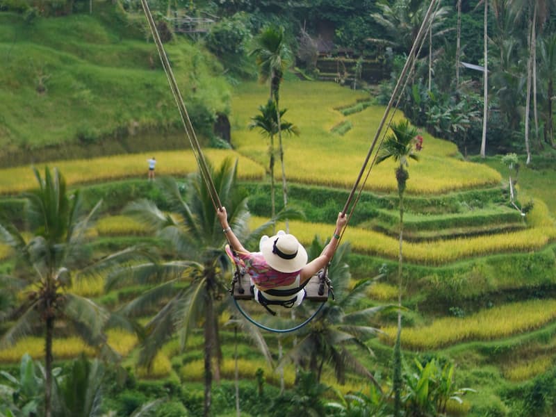 Lush rice terraces and landscapes around Ubud