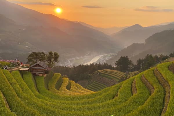 Tegallalang Rice Terrace in Ubud